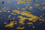 aerial;aerial-photo;aerial-photograph;aerial-photographs;aerial-photography;aerial-photos;aerial-view;aerial-views;aerials;Australia;Australian;billabong;billabongs;flood-plain;flood-plains;floodplain;floodplains;Gagadju;Kakadu;Kakadu-billabong;Kakadu-billabongs;Kakadu-flood-plain;Kakadu-flood-plains;Kakadu-floodplain;Kakadu-floodplains;Kakadu-N.P.;Kakadu-National-Park;Kakadu-NP;Kakadu-wetland;Kakadu-wetlands;Magela-Creek;Magela-Creek-System;Magela-Creek-Wetlands;Magela-Wetlands;N.T.;Northern-Territory;NT;rainy-season;seasonal;Top-End;UN-world-heritage-area;UN-world-heritage-site;UNESCO-World-Heritage-area;UNESCO-World-Heritage-Site;united-nations-world-heritage-area;united-nations-world-heritage-site;wet-season;wetland;wetlands;wilderness;wilderness-area;wilderness-areas;world-heritage;world-heritage-area;world-heritage-areas;World-Heritage-Park;World-Heritage-site;World-Heritage-Sites
