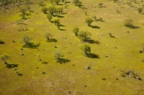 aerial;aerial-photo;aerial-photograph;aerial-photographs;aerial-photography;aerial-photos;aerial-view;aerial-views;aerials;Australia;Australian;billabong;billabongs;flood-plain;flood-plains;floodplain;floodplains;Gagadju;Kakadu;Kakadu-N.P.;Kakadu-National-Park;Kakadu-NP;Magela-Creek;Magela-Creek-System;Magela-Creek-Wetlands;Magela-Wetlands;N.T.;Northern-Territory;NT;rainy-season;seasonal;Top-End;UN-world-heritage-area;UN-world-heritage-site;UNESCO-World-Heritage-area;UNESCO-World-Heritage-Site;united-nations-world-heritage-area;united-nations-world-heritage-site;wet-season;wetland;wetlands;wilderness;wilderness-area;wilderness-areas;world-heritage;world-heritage-area;world-heritage-areas;World-Heritage-Park;World-Heritage-site;World-Heritage-Sites