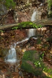 Australasia;Australia;cascade;cascades;creek;creeks;falls;Litchfield-N.P.;Litchfield-National-Park;Litchfield-NP;N.T.;natural;nature;Northern-Territory;NT;scene;scenic;stream;streams;Top-End;Wangi-Falls;water;water-fall;water-falls;waterfall;waterfalls;wet