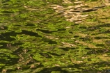 Australasia;Australia;calm;Litchfield-N.P.;Litchfield-National-Park;Litchfield-NP;N.T.;Northern-Territory;NT;placid;quiet;reflection;reflections;serene;smooth;still;Top-End;tranquil;water
