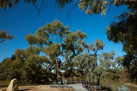 Queensland;Australia;Qld;Australian;Dig-Tree;The-Dig-Tree;Burke-and-Wills-expedition;Burke-and-Wills;Coopers-Creek;Innamincka;Durham;Shire-of-Bulloo;historic-site;heritage