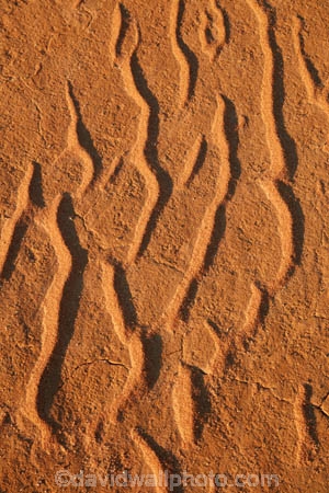 Simpson-Desert;desert;deserts;Queensland;Australia;Australian;outback;outback-Australia;Qld;QAA-Line;QAA;sand-patterns;ripple;ripples;sand;sand-dune;sand-dunes;pattern;patterns;sand-ripples;QAA-track