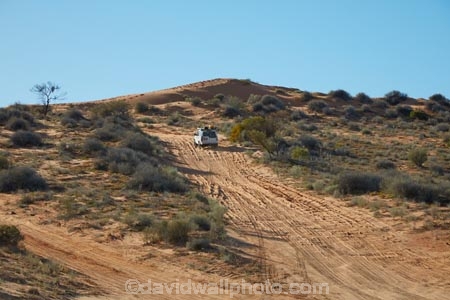Simpson-Desert;desert;deserts;Landrover;Landrover-Discovery;Discovery;Landrovers;Queensland;4wd;4wds;4wds;4x4;4x4s;4x4s;back-country;backcountry;backwoods;countryside;four-by-four;four-by-fours;four-wheel-drive;four-wheel-drives;suv;suvs;vehicle;vehicles;Australia;Australian;outback;outback-Australia;Qld;QAA-Line;QAA;Big-Red;Big-Red-Dune;Nappanerica;dune;dunes;sand-dune;sand-dunes;sand;sandy-track;tracks;track;QAA-track
