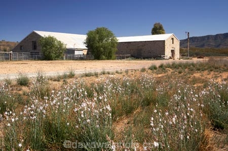 agricultural;agriculture;Arkaba-Woolshed;Australasian;Australia;Australian;Australian-Outback;back-country;backcountry;backwoods;building;buildings;country;countryside;farm;Farm-Building;Farm-Buildings;Farm-Shed;Farm-Sheds;farming;farmland;farms;Flinders-Ranges;heritage;historic;historic-building;historic-buildings;historical;historical-building;historical-buildings;history;old;Outback;Outback-Travel;remote;remoteness;rural;S.A.;SA;Shearing-Shed;Shearing-Sheds;Sheep-Shed;Sheep-Sheds;South-Australia;South-Flinders-Ranges;tradition;traditional;Wool-Shed;Wool-Sheds