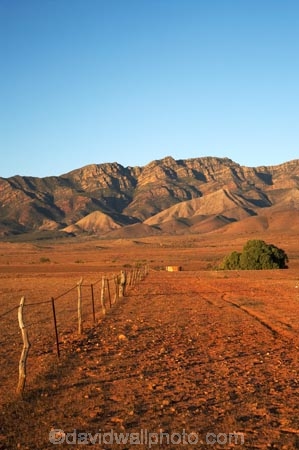 agricultural;agriculture;Australasian;Australia;Australian;Australian-Outback;back-country;backcountry;backwoods;country;countryside;farm;farming;farmland;farms;fence;fence-line;fence-lines;fence_line;fence_lines;fenceline;fencelines;fences;field;fields;Flinders-Ranges;Flinders-Ranges-N.P.;Flinders-Ranges-National-Park;Flinders-Ranges-NP;meadow;meadows;national-park;national-parks;Outback;Outback-Travel;paddock;paddocks;pasture;pastures;remote;remoteness;rural;S.A.;SA;South-Australia;South-Flinders-Ranges;Wilpena-Pound