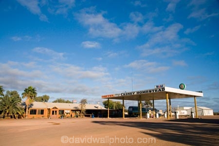 ale-house;ale-houses;Australasian;Australia;Australian;Australian-Outback;bar;bars;Cadney-Homestead;Cadney-Homestead-Road-House;Cadney-Homestead-Roadhouse;Cadney-Road-House;cafe;cafes;cuisine;dine;diners;dining;eat;eating;filliing-stations;filling-station;food;free-house;free-houses;garage;garages;gas-station;gas-stations;hotel;hotels;Outback;petrol-station;petrol-stations;pub;public-house;public-houses;pubs;restaurant;restaurants;Road-House;Road-Houses;Roadhouse;Roadhouses;S.A.;SA;saloon;saloons;service-station;service-stations;servo;South-Australia;Stuart-Highway;tavern;taverns