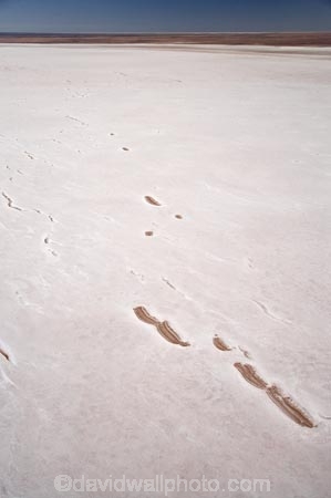 15-m-below-sea-level;aerial;aerial-photo;aerial-photography;aerial-photos;aerial-view;aerial-views;aerials;alkalii-flat;Australasian;Australia;Australian;Australian-Desert;Australian-Deserts;Australian-Outback;back-country;backcountry;backwoods;barren;barreness;basin;below-sea-level;Belt-Bay;bright;bright-white;dazzle;dazzling;depression;desert;deserts;desolate;dry;dry-lake;dry-lakes;empty;endorheric;endorheric-basin;endorheric-basins;endorheric-lake;extreme;flat;geographic;geography;glare;glary;hostile;huge;lake;lake-bed;lake-beds;Lake-Eyre-N.P.;Lake-Eyre-National-Park;Lake-Eyre-NP;lakes;national-park;national-parks;Oodnadatta-Track;Outback;pan;pans;playa;playas;remote;remoteness;S.A.;SA;sabkha;saline;salt;salt-crust;salt-lake;salt-lakes;salt-pan;salt-pans;salt-pattern;salt-patterns;salt_pan;salt_pans;saltpan;saltpans;salty;South-Australia;surface-pattern;surface-patterns;vast;white;white-surface;wilderness;worlds-largest-salt-lake