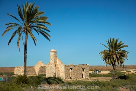 South-Australia;SA;S.A.;Australia;Australian;outback;outback-Australia;Simpson-Desert;desert;deserts;Dalhousie-Homestead-Ruins;Dalhousie-Ruins;Dalhousie-Station-Ruins;Derelict;abandon;abandoned;building;buildings;dereliction;deserted;relic;relics;ruin;ruins;run-down;rustic;Witjira-National-Park;Witjira-N.P.;Witjira-NP;palm;palm-tree;palm-trees;tree;palms;national-parks