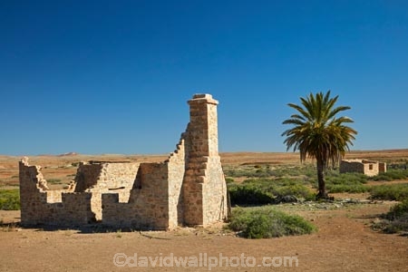 South-Australia;SA;S.A.;Australia;Australian;outback;outback-Australia;Simpson-Desert;desert;deserts;Dalhousie-Homestead-Ruins;Dalhousie-Ruins;Dalhousie-Station-Ruins;Derelict;abandon;abandoned;building;buildings;dereliction;deserted;relic;relics;ruin;ruins;run-down;rustic;Witjira-National-Park;Witjira-N.P.;Witjira-NP;palm;palm-tree;palm-trees;tree;palms;national-parks