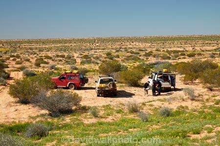 South-Australia;SA;S.A.;Australia;Australian;outback;outback-Australia;Simpson-Desert;desert;deserts;Munga_Thirri–Simpson-Desert-National-Park;Munga_Thirri–Simpson-Desert-Conservation-Park;Simpson-Desert-Conservation-Park;Simpson-Desert-National-Park;Munga_Thirri–Simpson-Desert-NP;French-Line;4wd;4wds;4wds;4x4;4x4s;4x4s;back-country;backcountry;backwoods;countryside;four-by-four;four-by-fours;four-wheel-drive;four-wheel-drives;suv;suvs;vehicle;vehicles;Landrover;Landrover-Discovery;Discovery;Landrovers;The-French-Line;Toyota;Toyota-Landcruiser;Landcruiser;Nissan-Patrol;Nissan;Patrol;classic;old;The-French-Line;national-parks