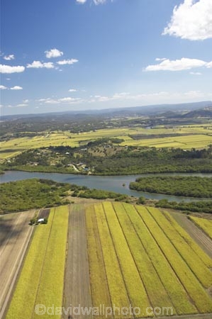 aerial;aerials;agricultural;agriculture;australasia;Australia;australian;crop;crops;farm;farming;farms;field;fields;marochy;Maroochy-River;Queensland;river;rivers;rural;sugar-cane;sugar_cane;Sugarcane;Sunshine-Coast;tasman-sea;tropical