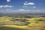 aerial;aerials;agricultural;agriculture;australasia;Australia;australian;crop;crops;farm;farming;farms;field;fields;marochy;Maroochy-River;Queensland;river;rivers;rural;sugar-cane;sugar_cane;Sugarcane;Sunshine-Coast;tasman-sea;tropical
