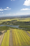 aerial;aerials;agricultural;agriculture;australasia;Australia;australian;crop;crops;farm;farming;farms;field;fields;marochy;Maroochy-River;Queensland;river;rivers;rural;sugar-cane;sugar_cane;Sugarcane;Sunshine-Coast;tasman-sea;tropical
