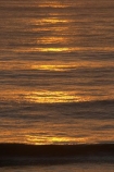australasia;Australia;beach;beaches;cloud;clouds;coast;coastal;cotton-tree;dawn;early-light;holiday;holidays;maroochydore;orange;pacific-ocean;queensland;serene;silhouette;silhouettes;sky;sunrise;sunrises;sunshine-coast;tasman-sea;tourism;travel;twilight;vacation;vacations;water;wave;waves;wet