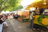 australasia;Australia;australian;buying;commerce;craft;crafts;Eumundi;eumundi-market;eumundi-markets;market;markets;Queensland;sell;selling;shop;shopping;stall;stalls;Sunshine-Coast