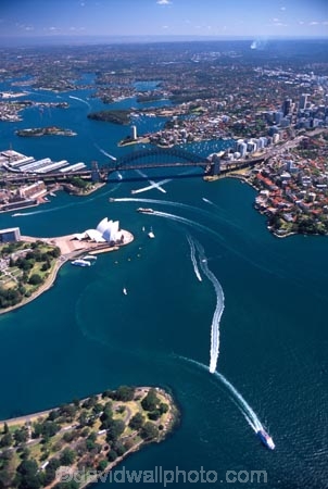 Sydney;Opera;House;Sydney;Harbour;harbor;harbors;harbours;Bridge;bridges;Australia;aerial;architecture;boat;boats;ferry;ferries;wake;aerials;royal-botanic-gardens;royal;botanic;gardens;park