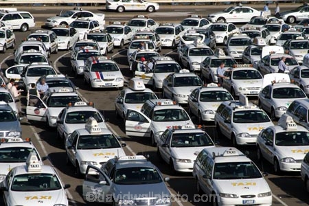 Rows;row;line;lines;lane;lanes;taxis;taxi;Sydney;International;Airport;Australia;australian;transport;fare;transportation;traffic;congestion;ford;falcon;fords;falcons;wait;waiting