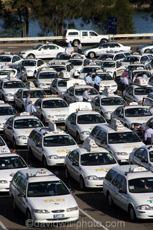 Rows;row;line;lines;lane;lanes;taxis;taxi;Sydney;International;Airport;Australia;australian;transport;fare;transportation;traffic;congestion;ford;falcon;fords;falcons;wait;waiting