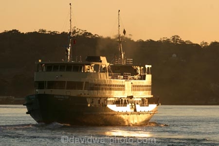 Passenger;passengers;Ferry;ferries;Sydney;harbour;harbor;harbours;harbors;Australia;commute;commuters;boat;boats;transport;transportation;water;dawn;sunrise;manly