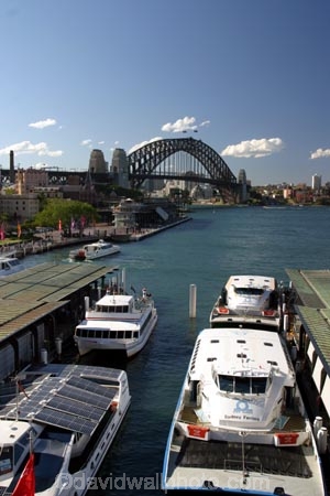 ferry;passenger;sydney;cove;harbor;harbors;harbours;commute;commuters;offices;CBD;C.B.D.;office;skyscraper;skyscrapers;wharf;wharves;jetty;bridge;bridges;sydney;harbour;bridge;sydney;opera;house;landmark;landmarks;icon;icons;terminal;ferries;circular;quay;australia