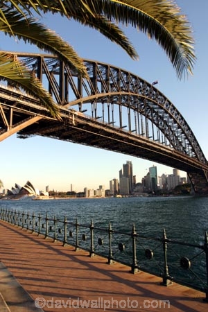 austrlia;sydney;cove;harbour;harbours;harbors;harbor;icon;icons;australian;landmark;landmarks;palm;palms;footpath;sidewalk;fence;rail;railing;bridge;bridges;opera;house;opera-house