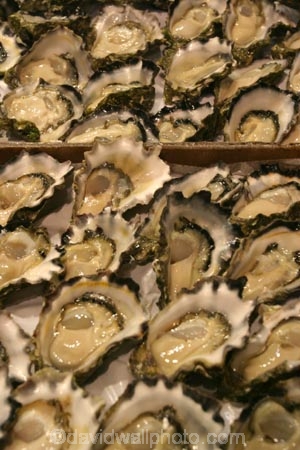 australia;sydney;prawn;shrimp;shrimps;seafood;sea;food;markets;market;fish;fishing;sell;sale;fishy;orange;prymont;blackwattle;bay-;shell;shells;oyster