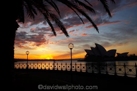 architectural;architecture;Australasia;Australia;Bennelong-Point;break-of-day;dawn;dawning;daybreak;first-light;globe;globes;icon;iconic;icons;lamp;lamps;landmark;landmarks;morning;N.S.W.;New-South-Wales;NSW;Opera-House;orange;palm-tree;palm-trees;silhouette;silhouettes;sky;street-lamp;street-lamps;street-light;street-lighting;street-lights;sunrise;sunrises;sunup;Sydney;Sydney-Cove;Sydney-Harbor;Sydney-Harbour;Sydney-Opera-House;twilight