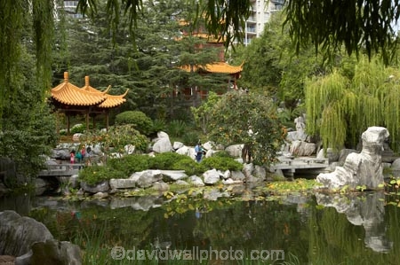 Australasia;Australia;Chinese-Garden;Chinese-Gardens;Darling-Harbour;garden;gardens;N.S.W.;New-South-Wales;NSW;pond;ponds;pool;pools;Sydney;water;willow;willow-tree;willow-trees;willows
