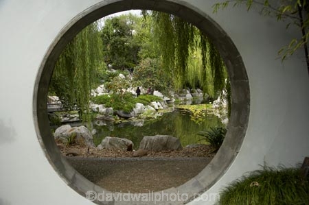 Australasia;Australia;Chinese-Garden;Chinese-Gardens;Darling-Harbour;garden;gardens;N.S.W.;New-South-Wales;NSW;pond;ponds;pool;pools;Sydney;water;willow;willow-tree;willow-trees;willows