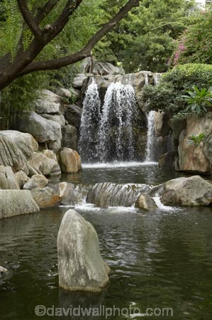 Australasia;Australia;Chinese-Garden;Chinese-Gardens;Darling-Harbour;garden;gardens;N.S.W.;New-South-Wales;NSW;pond;ponds;pool;pools;Sydney;water;waterfall;waterfalls