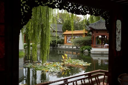 Australasia;Australia;Chinese-Garden;Chinese-Gardens;Darling-Harbour;garden;gardens;N.S.W.;New-South-Wales;NSW;pond;ponds;pool;pools;Sydney;water;willow;willow-tree;willow-trees;willows