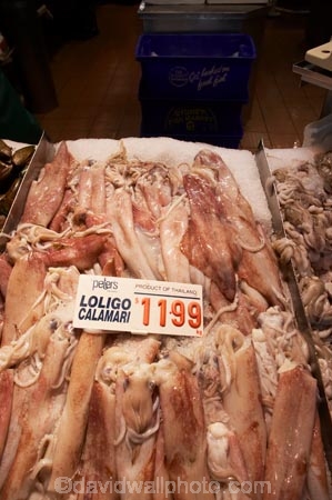 Australasia;Australia;Calimari;commerce;fish;fishmonger;fishmongers;food;food-market;food-markets;food-shop;food-shops;fresh-fish;Loligo-Calimari;market;markets;N.S.W.;New-South-Wales;NSW;Peters-Fish-Shop;Peters-Fish-Shop;Prymont;seafood;Seafood-Market;sell;shop;shops;Squid;Sydney;Sydney-Fish-Market