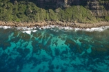 aerial;aerial-photo;aerial-photograph;aerial-photographs;aerial-photography;aerial-photos;aerial-view;aerial-views;aerials;Australasia;Australia;coast;coastal;coastline;coastlines;coasts;foreshore;N.S.W.;New-South-Wales;NSW;ocean;Otford;sea;seaweed;shore;shoreline;shorelines;shores;Sydney;Tasman-Sea;water