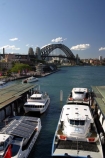 ferry;passenger;sydney;cove;harbor;harbors;harbours;commute;commuters;offices;CBD;C.B.D.;office;skyscraper;skyscrapers;wharf;wharves;jetty;bridge;bridges;sydney;harbour;bridge;sydney;opera;house;landmark;landmarks;icon;icons;terminal;ferries;circular;quay;australia