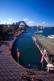 sydney;cove;harbor;harbors;harbours;commute;commuters;offices;CBD;C.B.D.;office;skyscraper;skyscrapers;wharf;wharves;jetty;bridge;bridges;sydney;harbour;bridge;sydney;opera;house;landmark;landmarks;icon;icons;terminal;ferries;circular;quay;australia