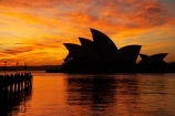 architectural;architecture;Australasia;Australia;Bennelong-Point;break-of-day;calm;dawn;dawning;daybreak;first-light;icon;iconic;icons;landmark;landmarks;morning;N.S.W.;New-South-Wales;NSW;Opera-House;orange;placid;quiet;reflection;reflections;serene;silhouette;silhouettes;sky;smooth;still;sunrise;sunrises;sunup;Sydney;Sydney-Cove;Sydney-Harbor;Sydney-Harbour;Sydney-Opera-House;tranquil;twilight;water