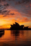 architectural;architecture;Australasia;Australia;Bennelong-Point;break-of-day;calm;dawn;dawning;daybreak;first-light;icon;iconic;icons;landmark;landmarks;morning;N.S.W.;New-South-Wales;NSW;Opera-House;orange;placid;quiet;reflection;reflections;serene;silhouette;silhouettes;sky;smooth;still;sunrise;sunrises;sunup;Sydney;Sydney-Cove;Sydney-Harbor;Sydney-Harbour;Sydney-Opera-House;tranquil;twilight;water
