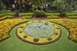 Australasia;Australia;clock;clocks;Floral-Clock;flower;flowers;garden;N.S.W.;New-South-Wales;NSW;Sydney;Sydney-Zoo;Taronga-Zoo;zoo;zoos