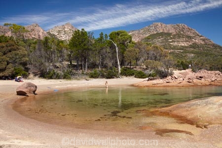 aqua;aquamarine;Australasian;Australia;Australian;beach;beaches;blue;clean-water;clear-water;coast;coastal;coastline;coastlines;coasts;cobalt;cobalt-blue;cobalt-ultramarine;cobaltultramarine;Coles-Bay;East-Tasmania;Eastern-Tasmania;foreshore;Freycinet-N.P.;Freycinet-National-Park;Freycinet-NP;Freycinet-Peninsula;Honeymoon-Bay;Island-of-Tasmania;national-parks;ocean;people;person;sand;sandy;sea;shore;shoreline;shorelines;shores;State-of-Tasmania;swimmer;swimmers;swimming;Tas;Tasmania;The-Hazards;tourism;tourist;tourists;turquoise;water
