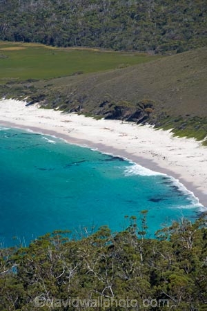 aqua;aquamarine;Australasian;Australia;Australian;beach;beaches;blue;clean-water;clear-water;coast;coastal;coastline;coastlines;coasts;cobalt;cobalt-blue;cobalt-ultramarine;cobaltultramarine;East-Tasmania;Eastern-Tasmania;foreshore;Freycinet-N.P.;Freycinet-National-Park;Freycinet-NP;Freycinet-Peninsula;Island-of-Tasmania;Mount-Amos;Mt-Amos;Mt.-Amos;national-parks;ocean;sand;sandy;sea;shore;shoreline;shorelines;shores;State-of-Tasmania;Tas;Tasmania;The-Hazards;turquoise;water;Wine-Glass-Bay;Wineglass-Bay;Wineglass-Bay-Lookout;Wineglass-Bay-Track