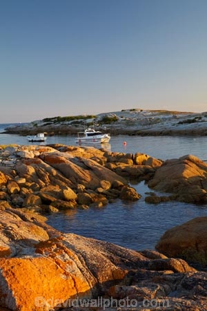 algae;Australasian;Australia;Australian;Bicheno;boat;boats;coast;coastal;coastline;coastlines;coasts;commercial-fishing-boat;commercial-fishing-boats;East-Tasmania;Eastern-Tasmania;fishing-boat;fishing-boats;foreshore;fungi;geological;geology;Governor-Is;Governor-Island;Island-of-Tasmania;lichens;moored;ocean;orange;orange-lichen;orange-lichens;orange-rock;orange-rock-lichen;orange-rock-lichens;orange-rocks;rock;rock-formation;rock-formations;rock-outcrop;rock-outcrops;rocks;sea;shore;shoreline;shorelines;shores;State-of-Tasmania;stone;Tas;Tasmania;The-Gulch;water