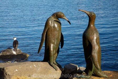 art;art-work;art-works;Australasian;Australia;Australian;Black_faced-Cormorant;Derwent-River;Franklin-Wharf;Hobart;Hobart-Waterfront;Island-of-Tasmania;penguin;Penguin-Sculptures;penguins;Phalacrocoracidae;Phalacrocorax-fuscescens;public-art;public-art-work;public-art-works;public-sculpture;public-sculptures;River-Derwent;sculpture;sculptures;State-of-Tasmania;Sullivans-Cove;Tas;Tasmania;waterfront