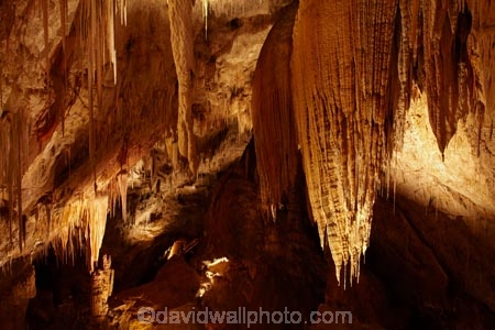 Australasian;Australia;Australian;beach;cave;cavern;caverns;caves;caving;grotto;grottos;Hastings-Cave;Hastings-Caves;Hastings-Caves-State-Reserve;Island-of-Tasmania;Newdegate-Cave;stalactite;stalactites;State-of-Tasmania;Tas;Tasmania;underground