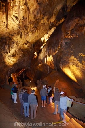 Australasian;Australia;Australian;beach;cave;cavern;caverns;caves;caving;grotto;grottos;Hastings-Cave;Hastings-Caves;Hastings-Caves-State-Reserve;Island-of-Tasmania;Newdegate-Cave;people;person;stalactite;stalactites;State-of-Tasmania;Tas;Tasmania;tourism;tourist;tourists;underground