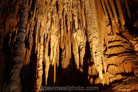 Australasian;Australia;Australian;beach;cave;cavern;caverns;caves;caving;grotto;grottos;Hastings-Cave;Hastings-Caves;Hastings-Caves-State-Reserve;Island-of-Tasmania;Newdegate-Cave;stalactite;stalactites;stalagmite;stalagmites;State-of-Tasmania;Tas;Tasmania;underground