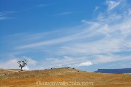 agricultural;agriculture;Australasian;Australia;Australian;Cental-Tasmania;Central-Tasmania;country;countryside;farm;farming;farmland;farms;field;fields;Island-of-Tasmania;meadow;meadows;Midland-Highway;Midlands;Midlands-Highway;paddock;paddocks;pasture;pastures;rural;State-of-Tasmania;Tas;Tasmania