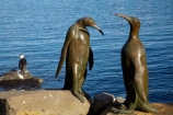 art;art-work;art-works;Australasian;Australia;Australian;Black_faced-Cormorant;Derwent-River;Franklin-Wharf;Hobart;Hobart-Waterfront;Island-of-Tasmania;penguin;Penguin-Sculptures;penguins;Phalacrocoracidae;Phalacrocorax-fuscescens;public-art;public-art-work;public-art-works;public-sculpture;public-sculptures;River-Derwent;sculpture;sculptures;State-of-Tasmania;Sullivans-Cove;Tas;Tasmania;waterfront