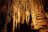 Australasian;Australia;Australian;beach;cave;cavern;caverns;caves;caving;grotto;grottos;Hastings-Cave;Hastings-Caves;Hastings-Caves-State-Reserve;Island-of-Tasmania;Newdegate-Cave;stalactite;stalactites;stalagmite;stalagmites;State-of-Tasmania;Tas;Tasmania;underground