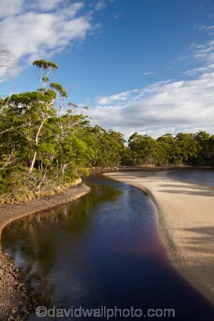 Australasian;Australia;Australian;beautiful;beauty;bush;Detention-River;endemic;forest;forests;green;Island-of-Tasmania;native;native-bush;natural;nature;North-West-Tasmania;North-Western-Tasmania;Northern-Tasmania;river;rivers;scene;scenic;State-of-Tasmania;Tas;Tasmania;The-North;tree;trees;wood;woods