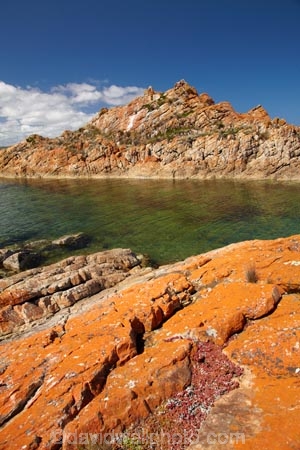 algae;Australasian;Australia;Australian;coast;coastal;coastline;coastlines;coasts;foreshore;fungi;Island-of-Tasmania;lichens;North-West-Tasmania;North-Western-Tasmania;Northern-Tasmania;orange;orange-lichen;orange-lichens;orange-rock;orange-rock-lichen;orange-rock-lichens;orange-rocks;shore;shoreline;shorelines;shores;State-of-Tasmania;Tas;Tasmania;The-North;West-Point;West-Point-State-Reserve